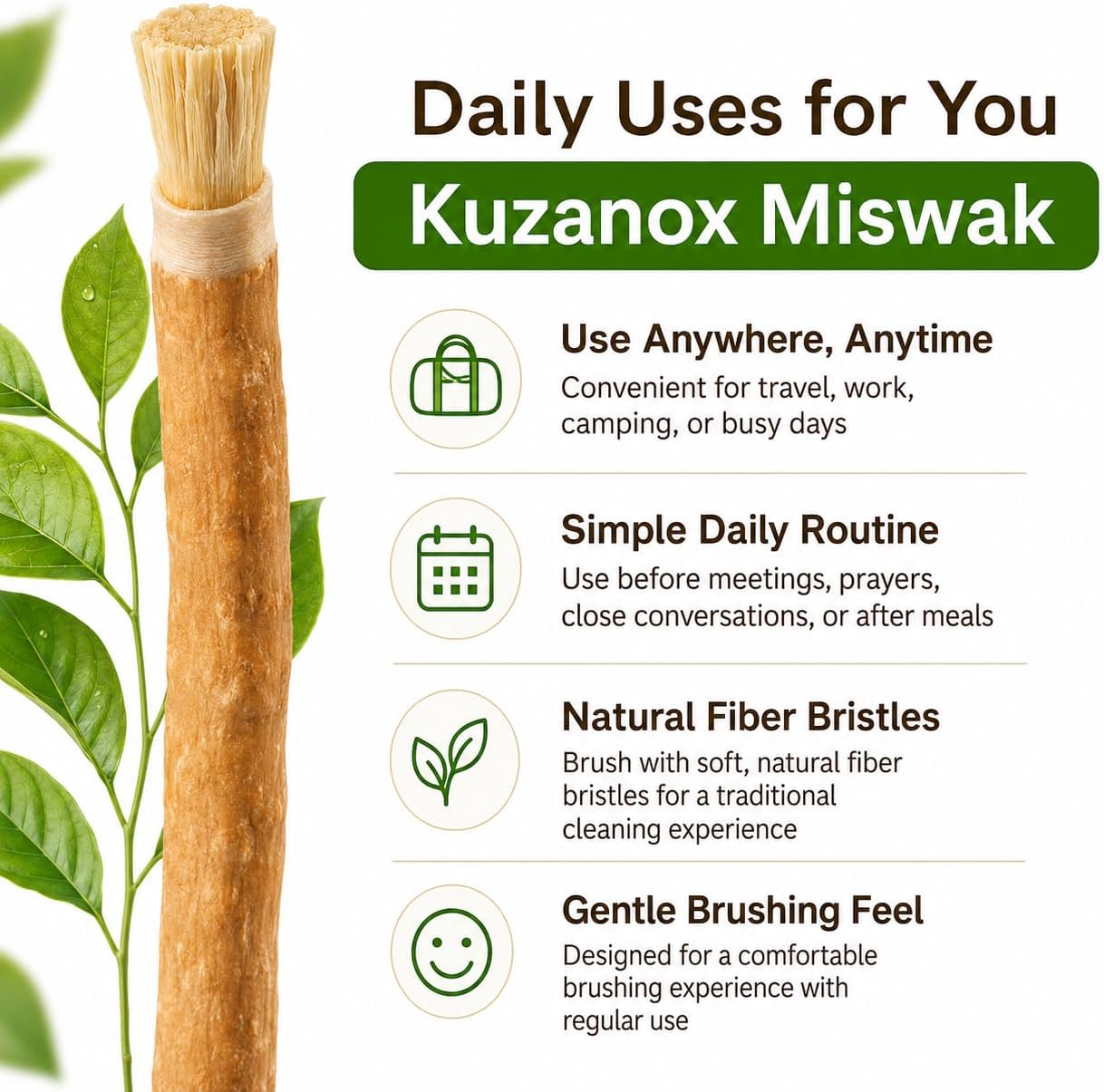 Ancient Miswak Toothbrush