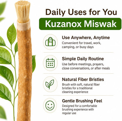 Ancient Miswak Toothbrush
