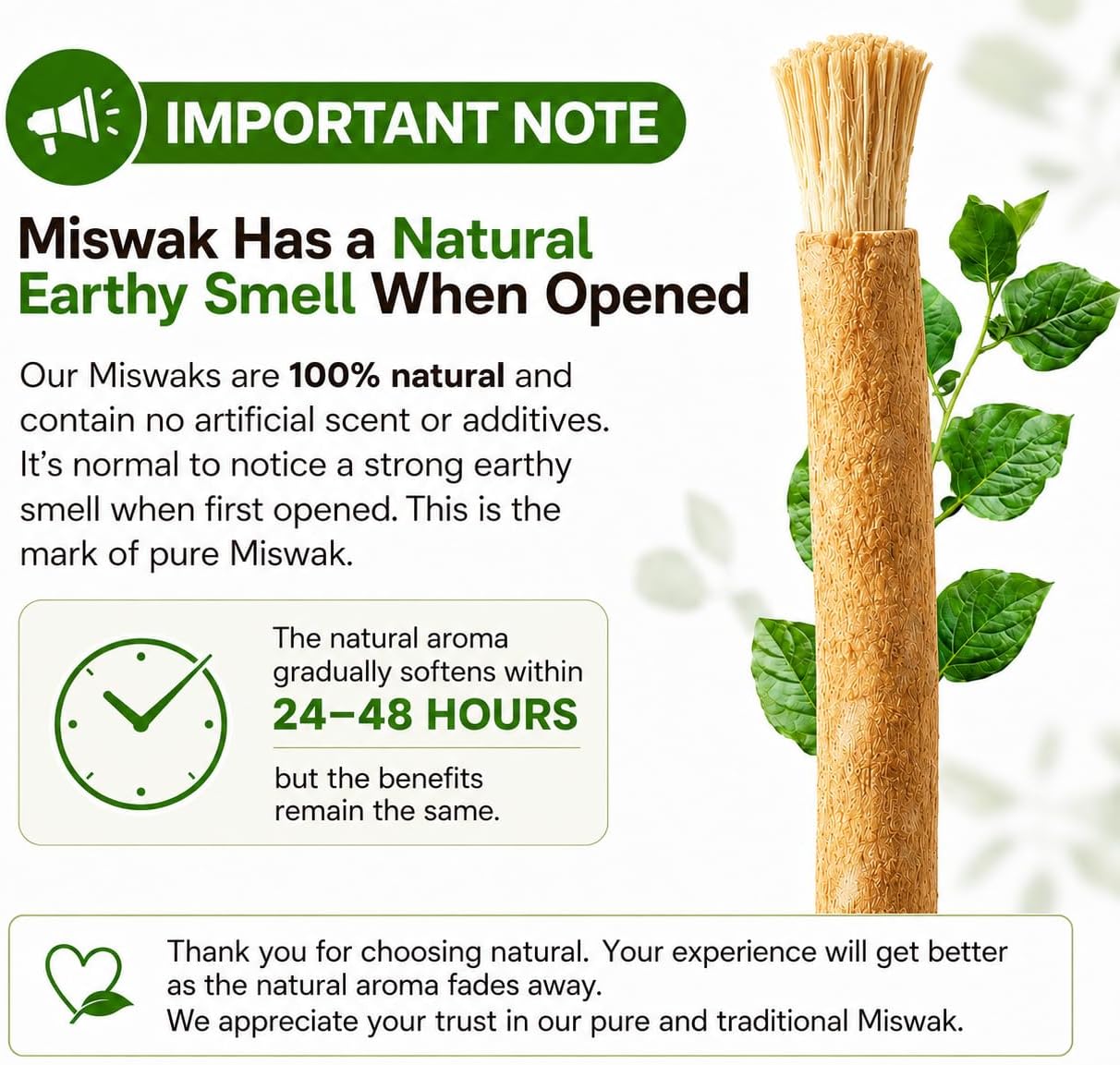 Ancient Miswak Toothbrush
