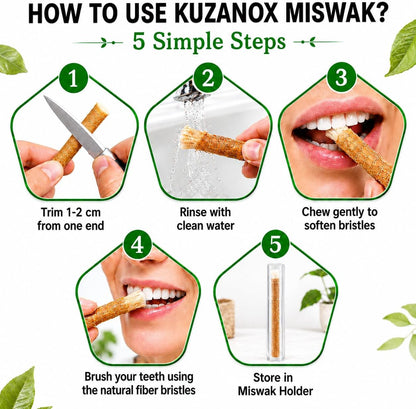 Ancient Miswak Toothbrush