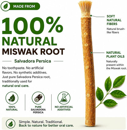 Ancient Miswak Toothbrush
